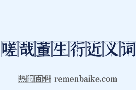 嗟哉董生行近义词是什么意思的图片